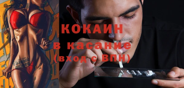 шишки Абаза