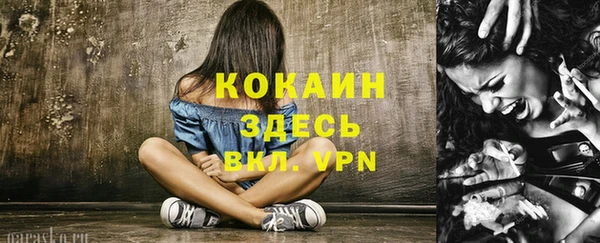 шишки Абаза