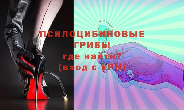 мяу мяу мука Михайлов