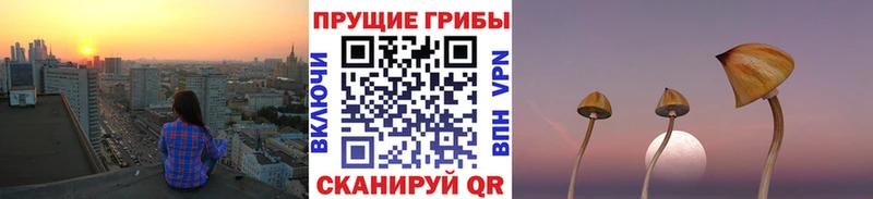 Галлюциногенные грибы Psilocybe купить закладку Партизанск
