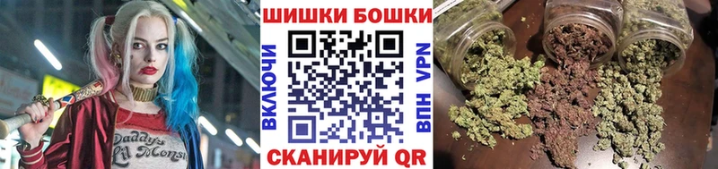 Бошки Шишки SATIVA & INDICA  как найти наркотики  Партизанск 